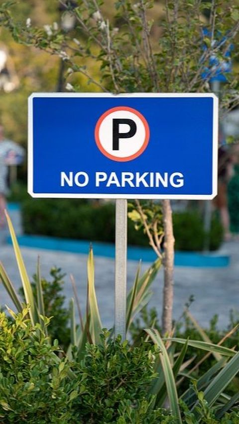 50 Funny Parking Quotes that Represent Feelings, Perfect for Jokes While Chatting with Friends