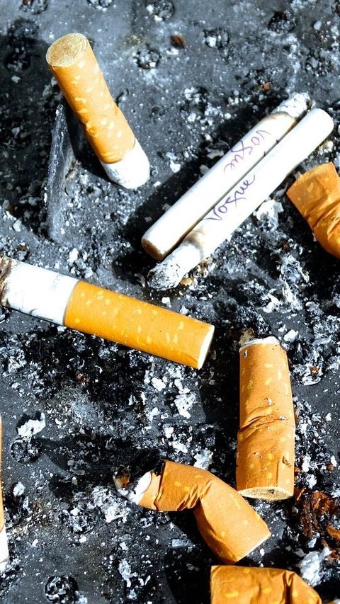 Apa Benar Filter Rokok Mengandung Darah Babi? Cek Faktanya