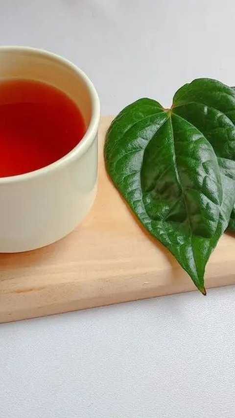 7 Resep Jamu Daun Sirih Khusus Kewanitaan yang Bisa untuk Keputihan dan Tanpa Bau