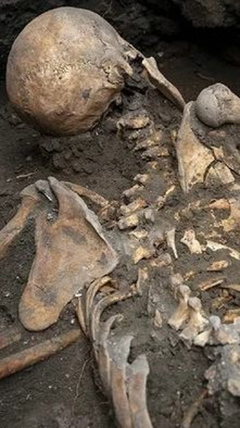 Latest Discovery of Pompeii, The Final Pose of the Male-Female Skeleton in This Room is Terrifying Evidence of the City's Destruction by a Volcanic Eruption