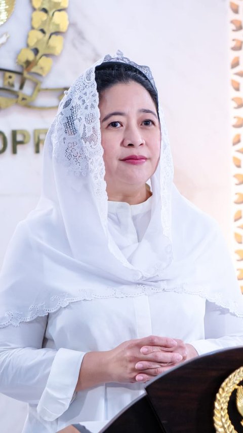 Ketua DPR Puan Maharani Imbau Masyarakat Waspada Penularan Virus Cacar Monyet