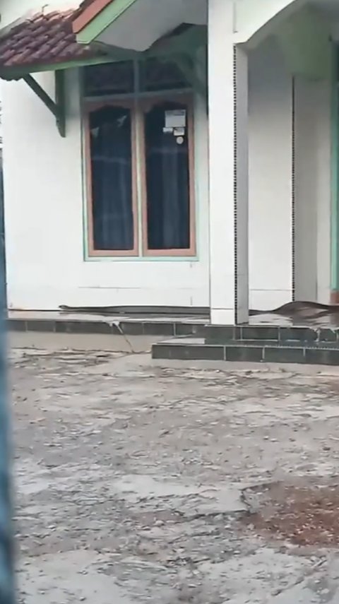 Viral Kemunculan King Kobra Sepanjang 5 Meter di Depan Rumah Warga, Begini Penampakannya