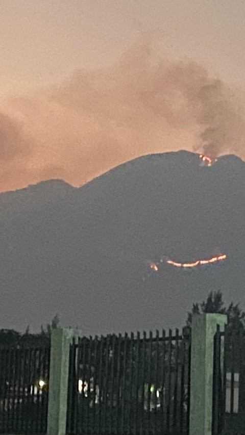 Imbas Kebakaran, Gunung Guntur Ditutup untuk Pendakian