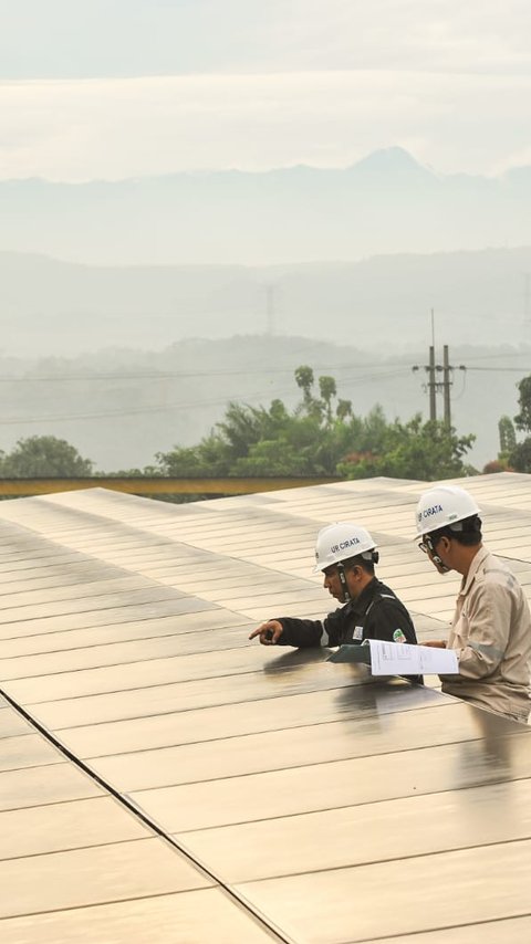 Gandeng Jerman, Pemerintah Percepat Transisi Energi Berkelanjutan