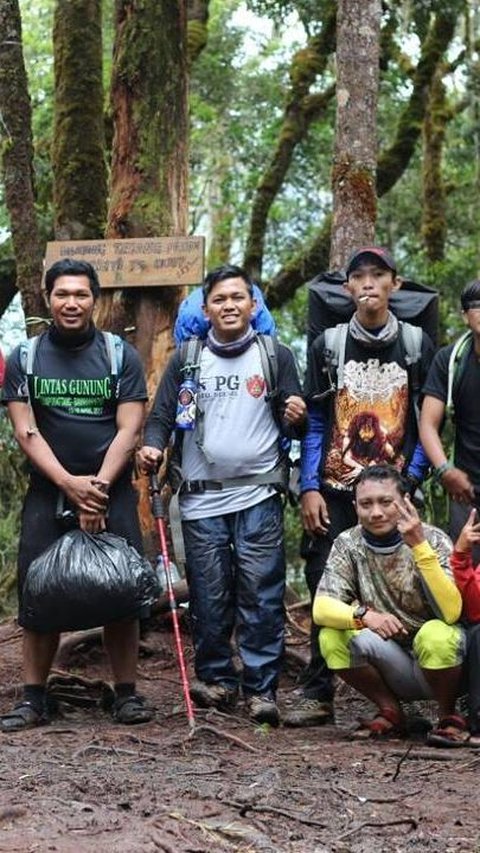 The Excitement of Climbing Mountains While Learning About Nature Together with the Mountaineering Community