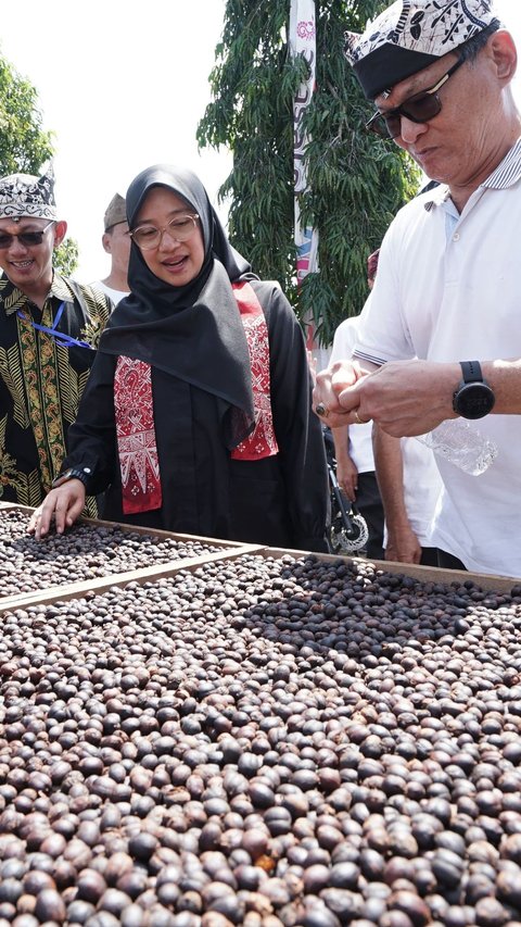 Angkat Kopi Rakyat, Banyuwangi Gelar Festival Kopi Kalibaru