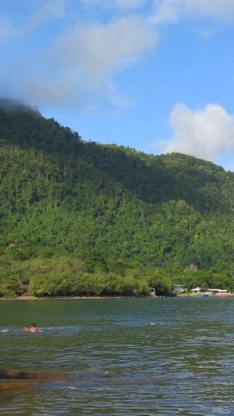 Eksotisme Danau Matano di Sulsel, Jadi yang Terdalam di Asia Tenggara dan Dihuni Hewan Purba