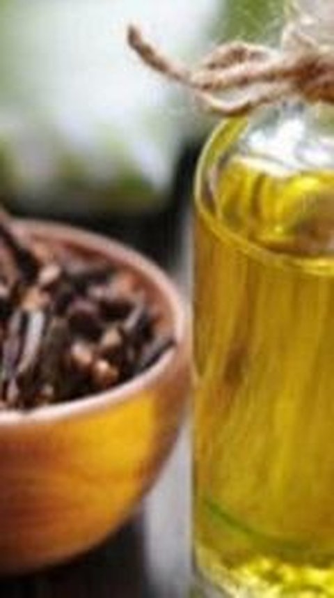 5 Resep Jamu Cengkeh yang Mampu Atasi Kolesterol dan Asam Urat Secara Alami