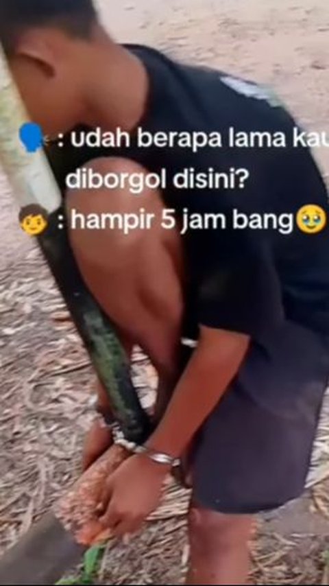 Tega Banget! Mandor Perusahaan Borgol Bocah Ambil Brondolan Sawit Sampai 5 Jam Tak Dilepas, ini Potretnya