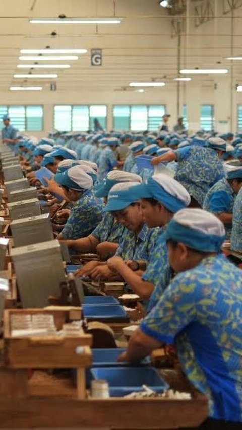 Curhat Pengusaha Rokok Jika Cukai Naik Tinggi: Industri Gulung Tikar & Berdampak ke Tenaga Kerja