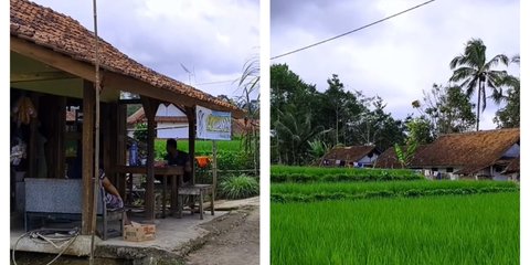 Bikin Pembeli Terlena, Warung Kopi di Kampung Terpencil Tasikmalaya Ini Suguhkan Pemandangan Sawah Hijau dan Bukit Berkabut