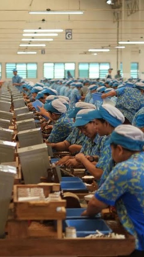 Wacana Kemasan Rokok Polos Tanpa Merek Dikhawatirkan Timbulkan Ketidakstabilan di Industri Hasil Tembakau