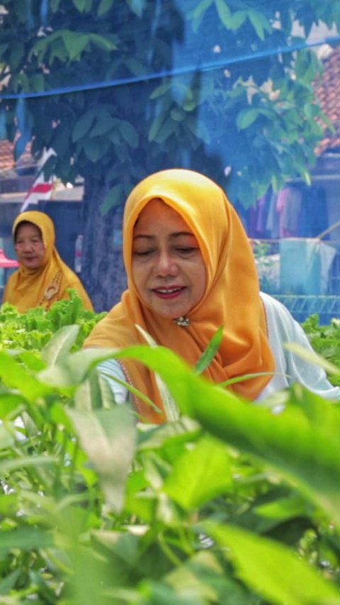 Urban Farming Jadi Solusi Bantu Ketahanan Warga Jakarta