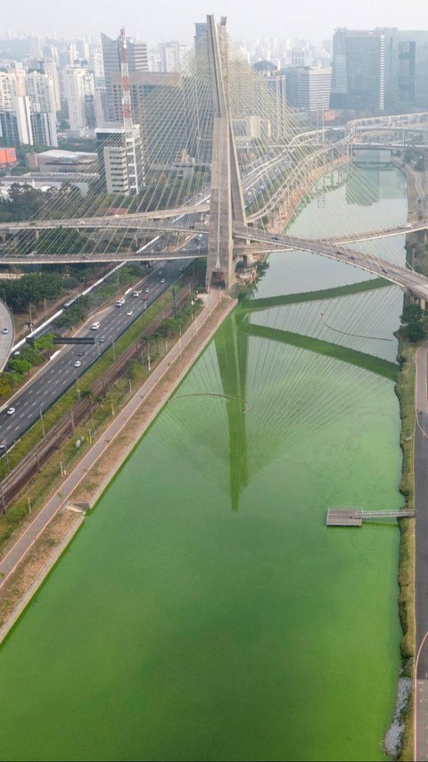 FOTO: Heboh Sungai Utama di Sao Paulo Brasil Tiba-Tiba Menghijau, Ternyata Ini Penyebabnya