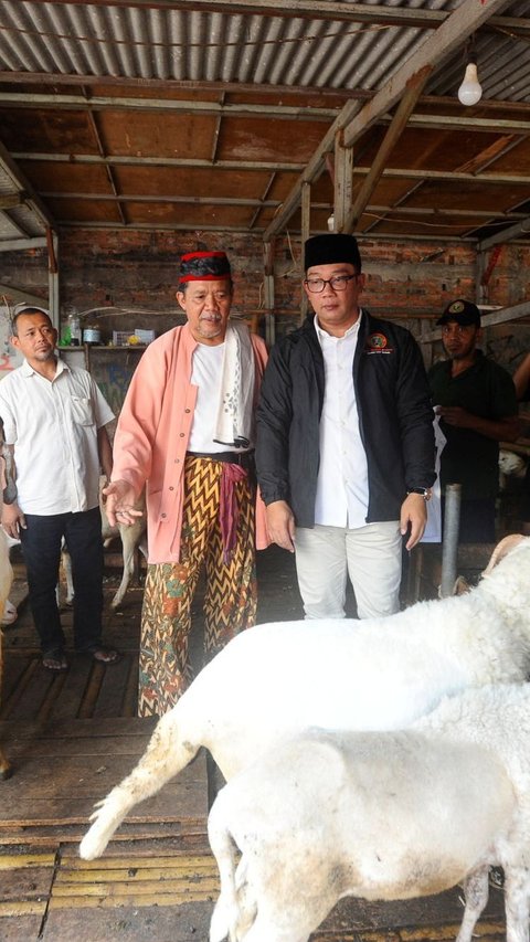 FOTO: Bakal Calon Gubernur Jakarta Ridwan Kamil Serap Aspirasi Pedagang Pasar Kambing di Tanah Abang