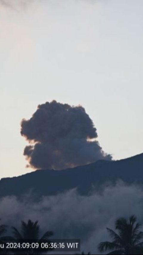 Gunung Ibu di Halmahera Barat Erupsi, Tinggi Kolom Abu Capai 700 Meter