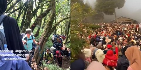 Tak Cuma Puncak, Potret Jalur Pendakian Gunung Ramai dan Macet Melihatnya Bikin Sesak