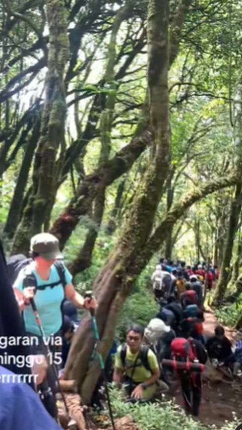 Tak Cuma Puncak, Potret Jalur Pendakian Gunung Ramai dan Macet Melihatnya Bikin Sesak