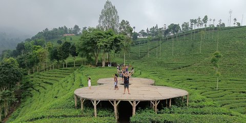 Mengunjungi Kebun Teh Sirah Kencong di Blitar, Perkebunan Kelas Dunia dengan Pemandangan Indah dan Udara Segar