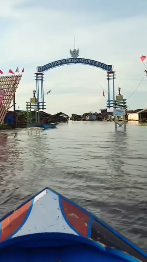 Melihat Uniknya Desa Tanpa Daratan Muara Enggelam di Kukar, Ada Sawah Terapung