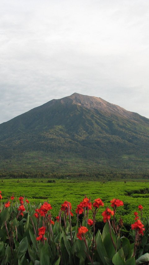 Pakai Drone di Gunung Rinjan Kini Dikenakan Biaya, Segini Besaran Tarifnya