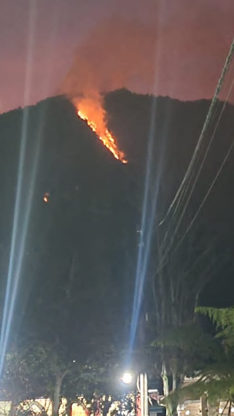 Gunung Telomoyo Terbakar, Dipicu Warga Bakar Rumput