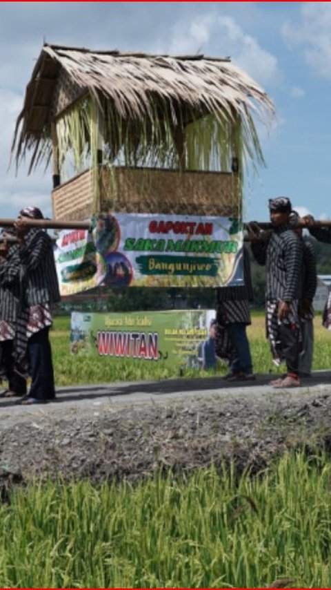 Melihat Tradisi Wiwitan Panen Padi di Jogja, Tetap Dilestarikan di Tengah Perkembangan Teknologi