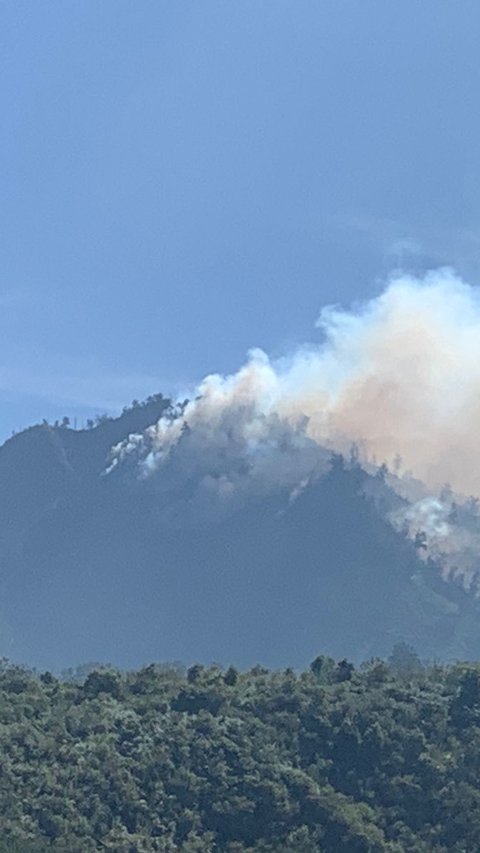 Kronologi Terbakarnya Pegunungan Ebeng-Ebeng di Taman Nasional Bromo Tengger Semeru, Petugas Kesulitan Padamkan Api