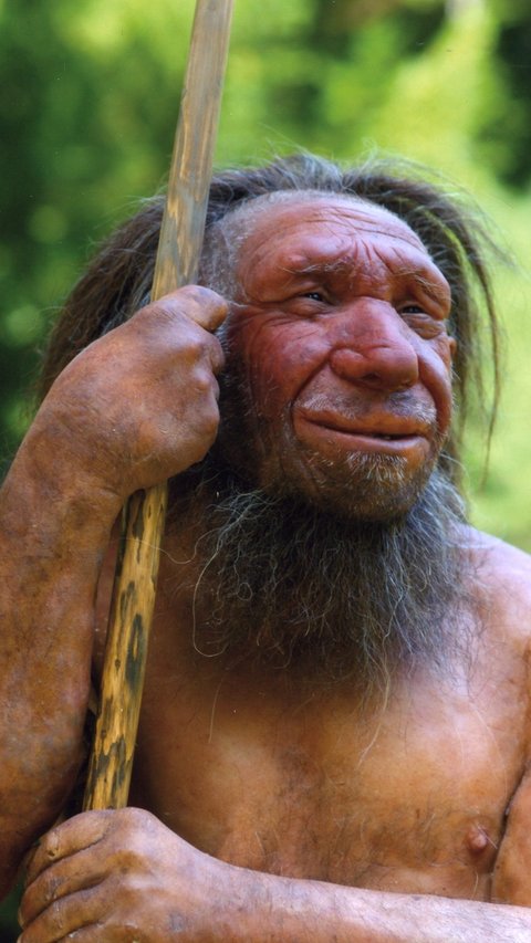 10 Hal yang Diturunkan dari DNA Manusia Neanderthal untuk Kesehatan Manusia Modern