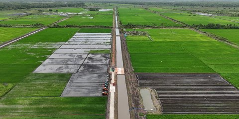 Akademisi UGM Yakin Program Cetak Sawah di Merauke Berhasil