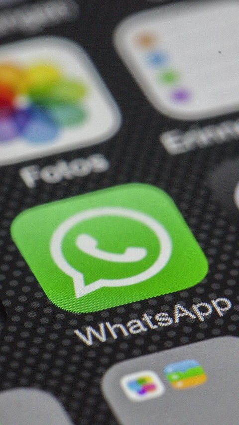 WhatsApp Hadirkan Fitur Kategori Channel, Lebih Mudah untuk Pengguna