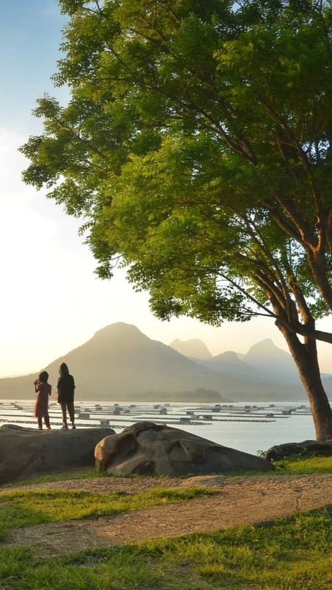 Menyusuri Keindahan Taman Batu di Samping Waduk Jatiluhur, Pemandangan Gunung dan Danaunya Bak Lukisan