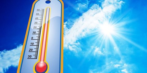 Penelitian di London Ungkap Cara Mudah Turunkan Suhu Panas Hingga 2 Derajat Celcius, Bisa Diterapkan di Indonesia