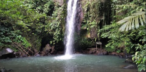 Pesona Curug Cikotak Padarincang, Sekeping Surga dari Tengah Hutan Serang