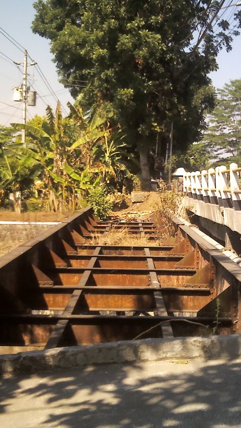 Disebut Bisa Tingkatkan Perekonomian Warga, Ini Fakta di Balik Wacana Reaktivasi Jalur Kereta Api Purwokerto-Wonosobo