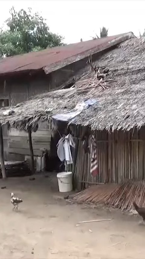 Kisah Pilu Keluarga di Aceh Utara Bertahan Hidup di Gubuk Rapuh, Atapnya dari Daun dan Dindingnya Berlubang