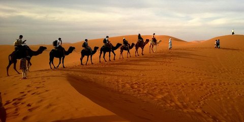 Teknologi Buatan Arab ini Lebih Canggih dari Google, Mampu Deteksi Harta Karun Tersembunyi di Bawah Gurun Pasir