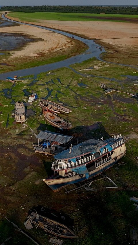 FOTO: Penampakan Danau di Amazonas Brasil Dilanda Kekeringan Parah, Perahu-Perahu Tak Lagi Bisa Berlayar