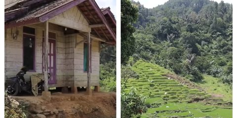 Potret Rumah di Garut dengan Pemandangan Terasering Bak Surga, Keindahannya Bikin Terpana