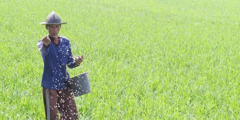 Petani Indonesia Tetap Miskin Meski Harga Pangan di Pasar Terus Naik, Pendapatan Setahun Cuma Rp5,4 Juta