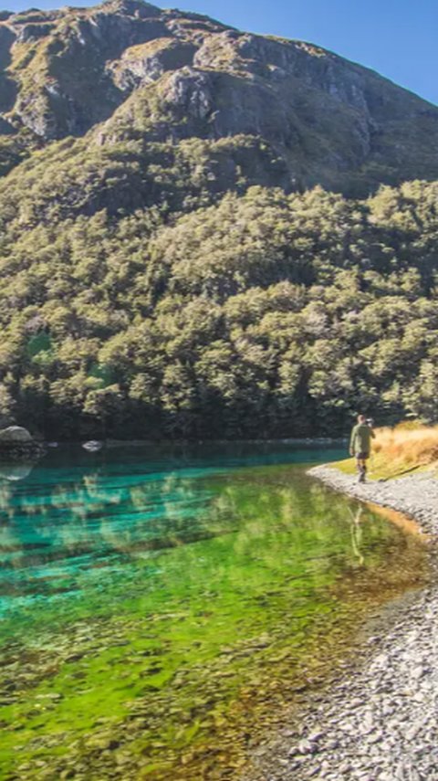 Danau di Selandia Baru Ini Jernih Banget Bak Kaca Transparan, Peneliti Ungkap Faktor Penyebabnya yang Tak Terduga