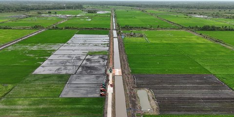 Muncul Wacana Pupuk Indonesia dan Bulog Berada di Bawah Kementan Mulai Tahun Depan