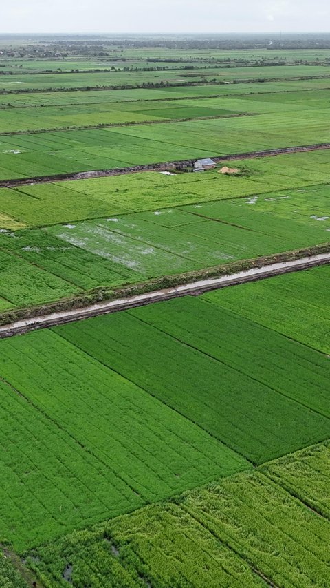 Muncul Wacana Pupuk Indonesia dan Bulog Berada di Bawah Kementan Mulai Tahun Depan