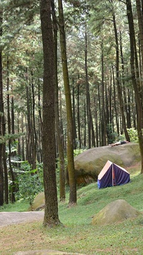 Gara-Gara Banyak Pungli, Wisatawan Kapok ke Gunung Pancar