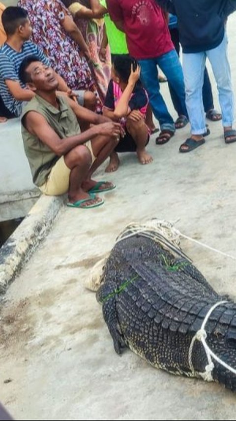 Ngeri Banget, Tiba-Tiba Buaya 4 Meter Masuk Perkampungan Warga