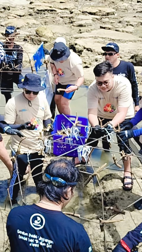 PNM Peduli Tanam Ribuan Pohon Mangrove dan Terumbu Karang di Kalimantan