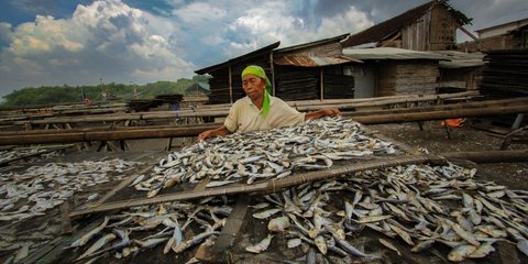 Cara Kerja DAPATI, Program Pemerintah Bantu Persingkat Proses Produksi bagi UMKM