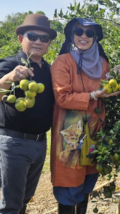 Wajah Ceria Eks Kasad Bareng Istri Tercinta Panen Jeruk, Makin Semangat Berkebun Bawa Kebahagian