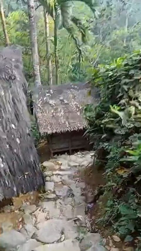 Menilik Suasana Pagi di Kampung Baduy, Pemandangan Jalan Setapak di Hutan Indah Banget