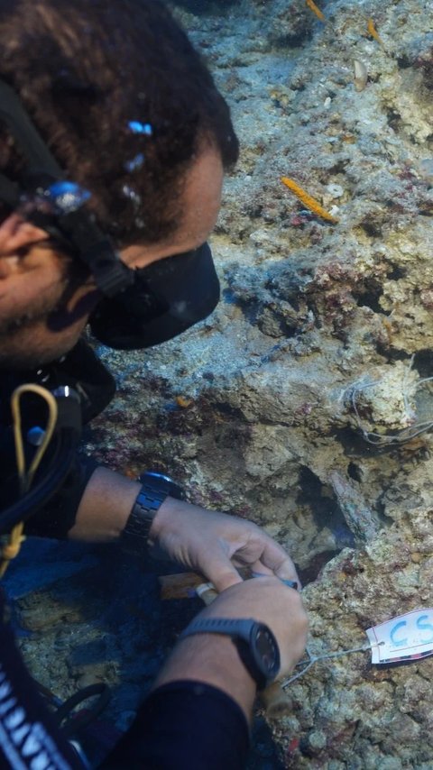 Menyelam Sampai 50 Meter, Arkeolog Temukan Belati Berlapis Perak Berusia 3.600 Tahun di Dalam Bangkai Kapal